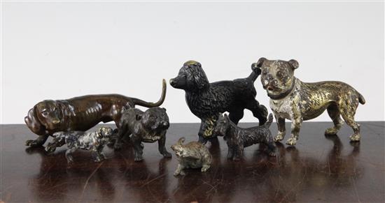 A small cold painted bronze model of a Bulldog, together with five other cold painted bronze dogs, Bulldog 2in. (7)